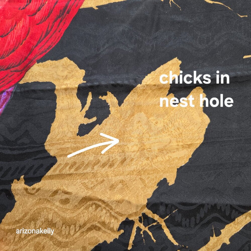 Vismara Silk Scarf with Parrots in Tree and Neat Hidden Detail Birds Chicks - Picture 2 of 13